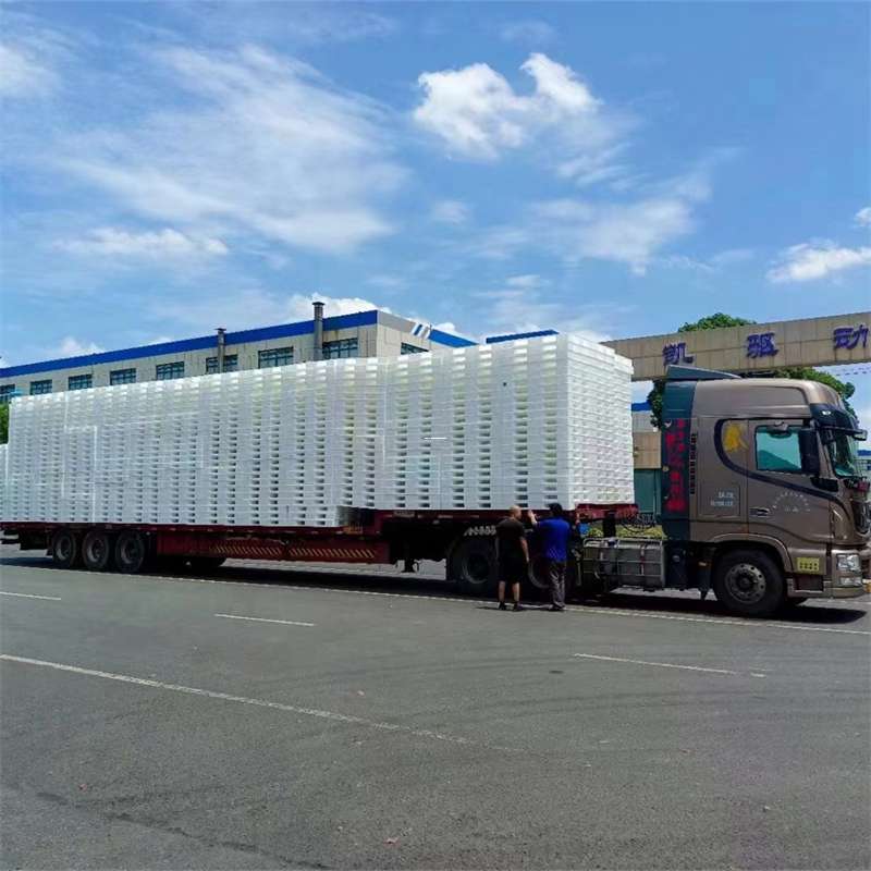 萧山区句容市物流：多元服务与高效运输线路探秘