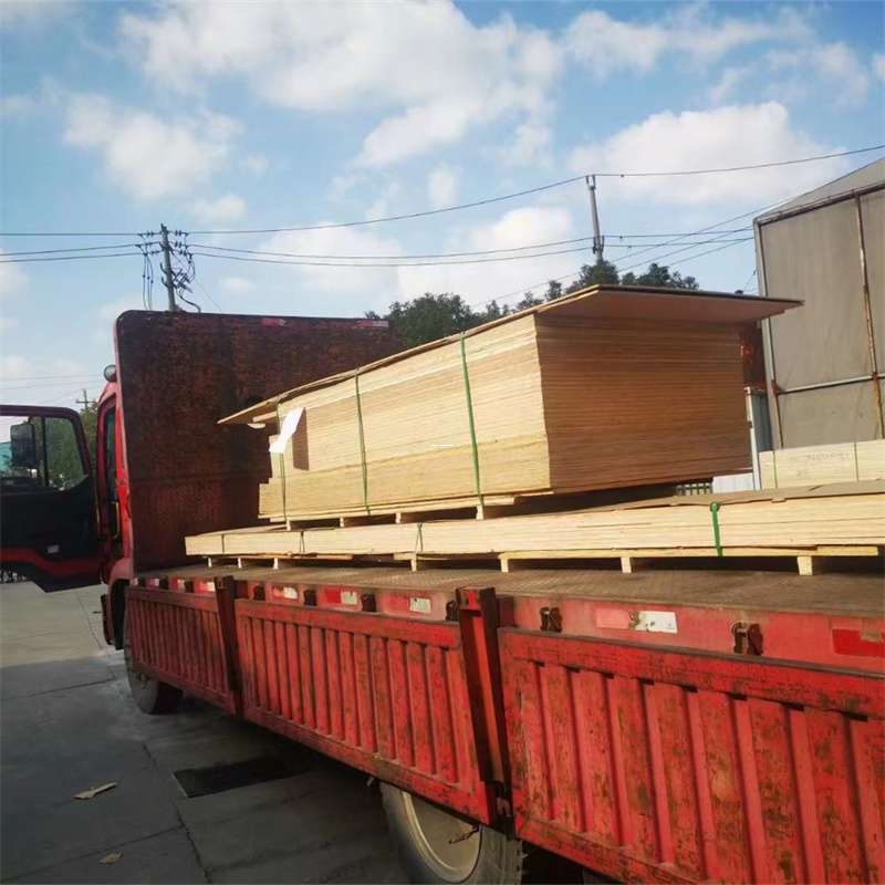 萧山区通化市物流运输：多元服务与高效线路探秘