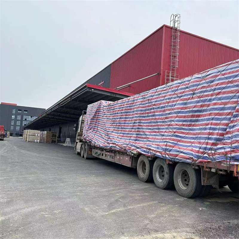 吐鲁番市物流专线：高效直达的运输之旅